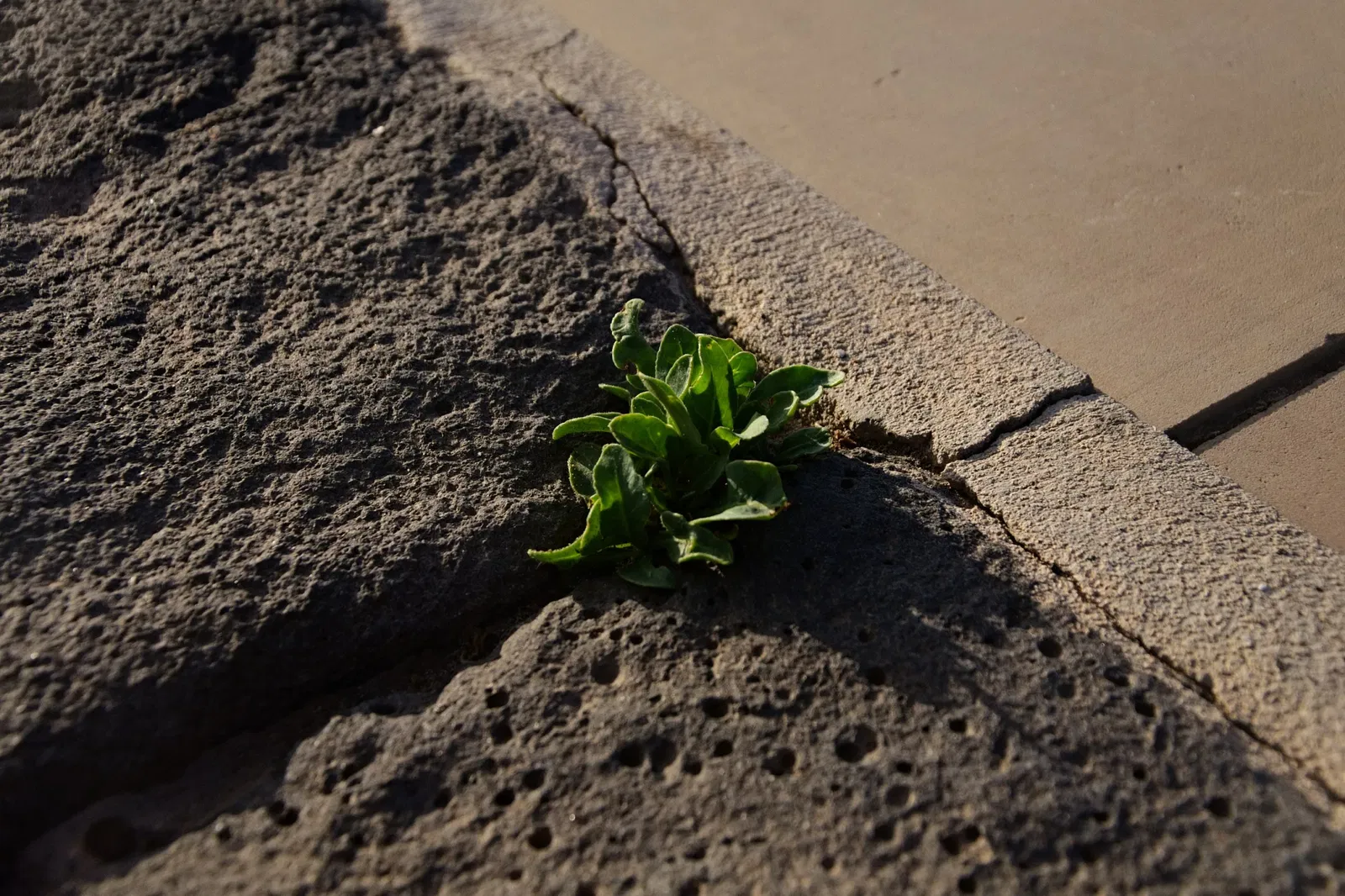 Castillo de San Gabriel