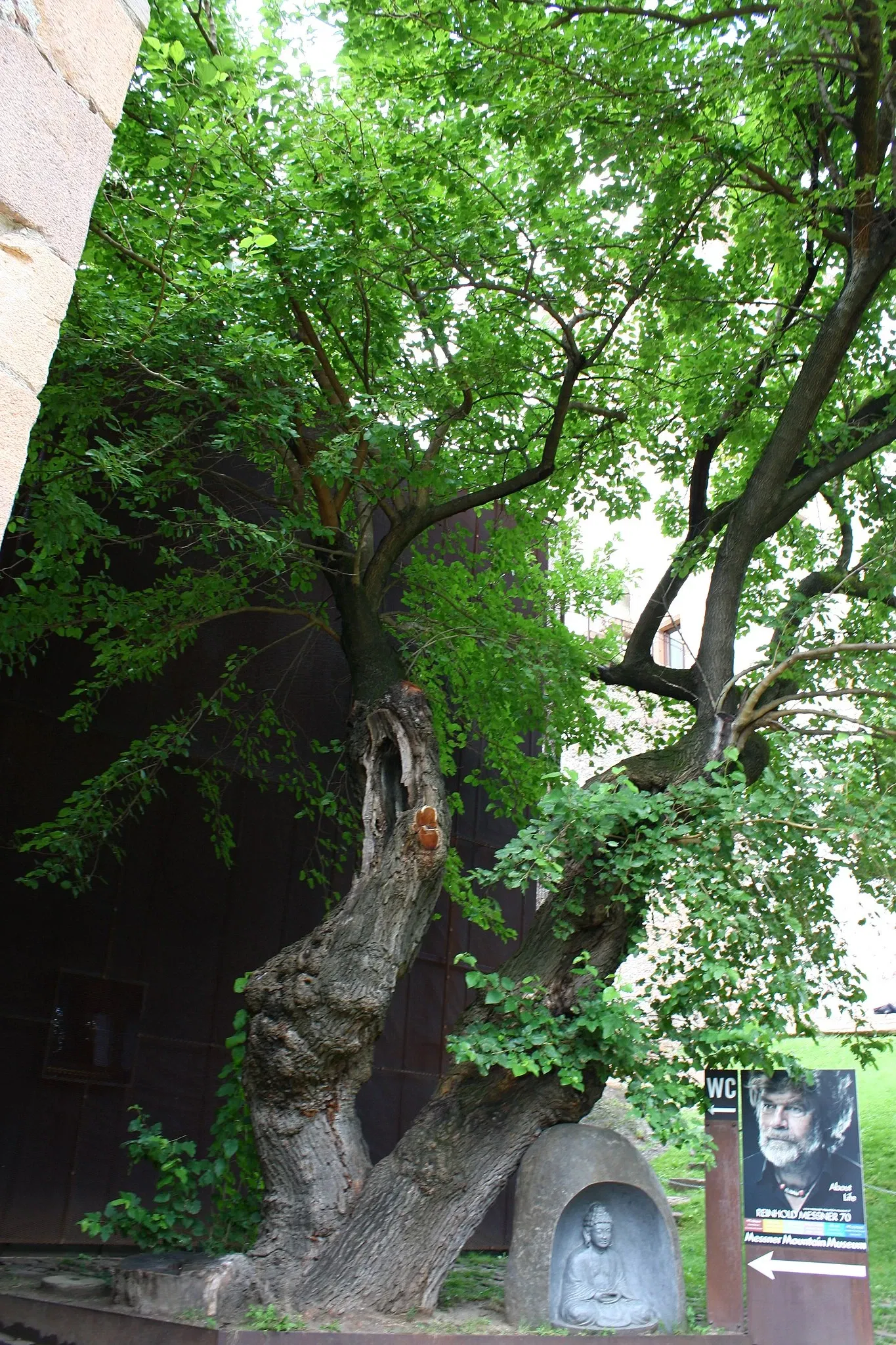 The Sigmundskron Castle