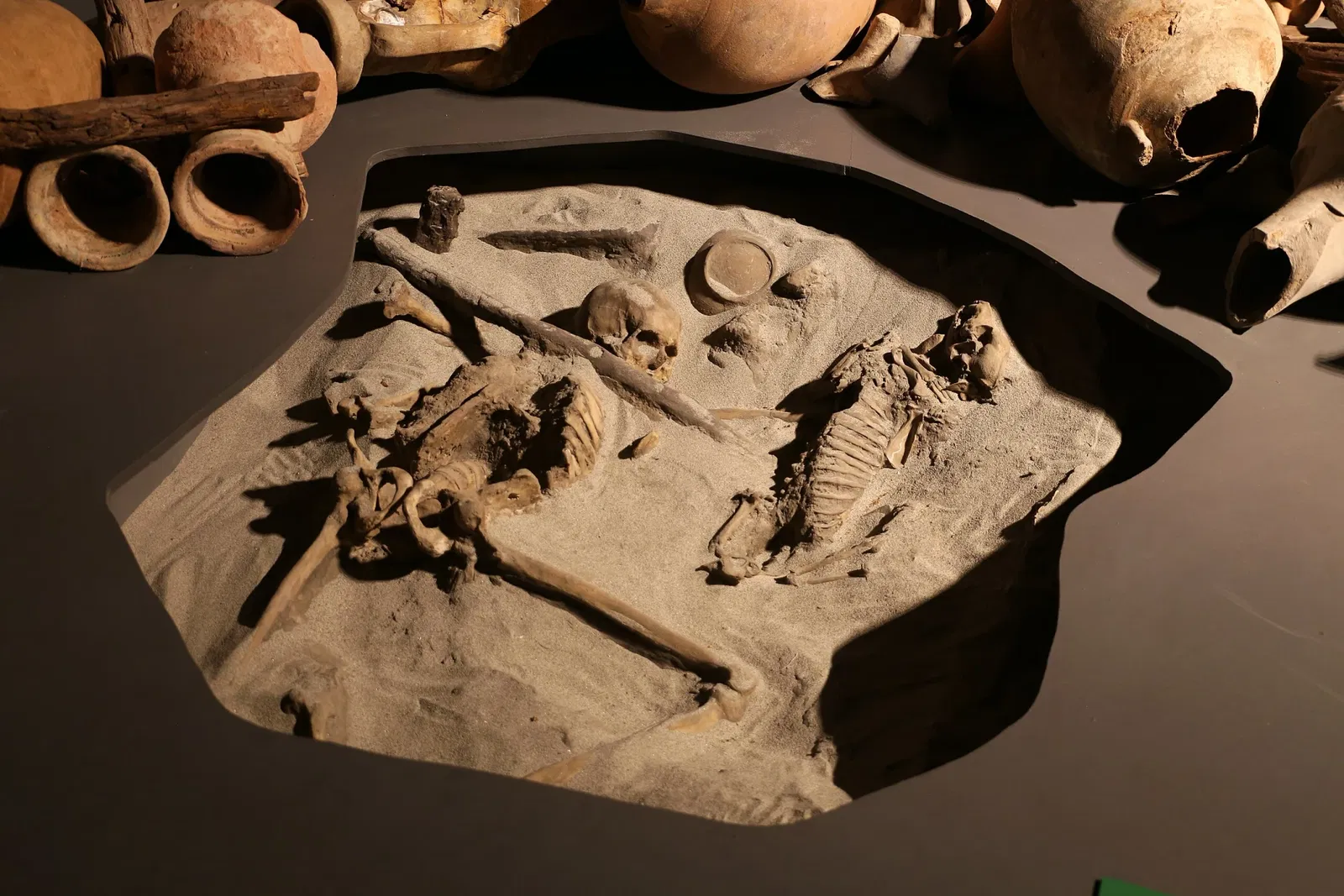 Museo delle Navi Antiche di Pisa