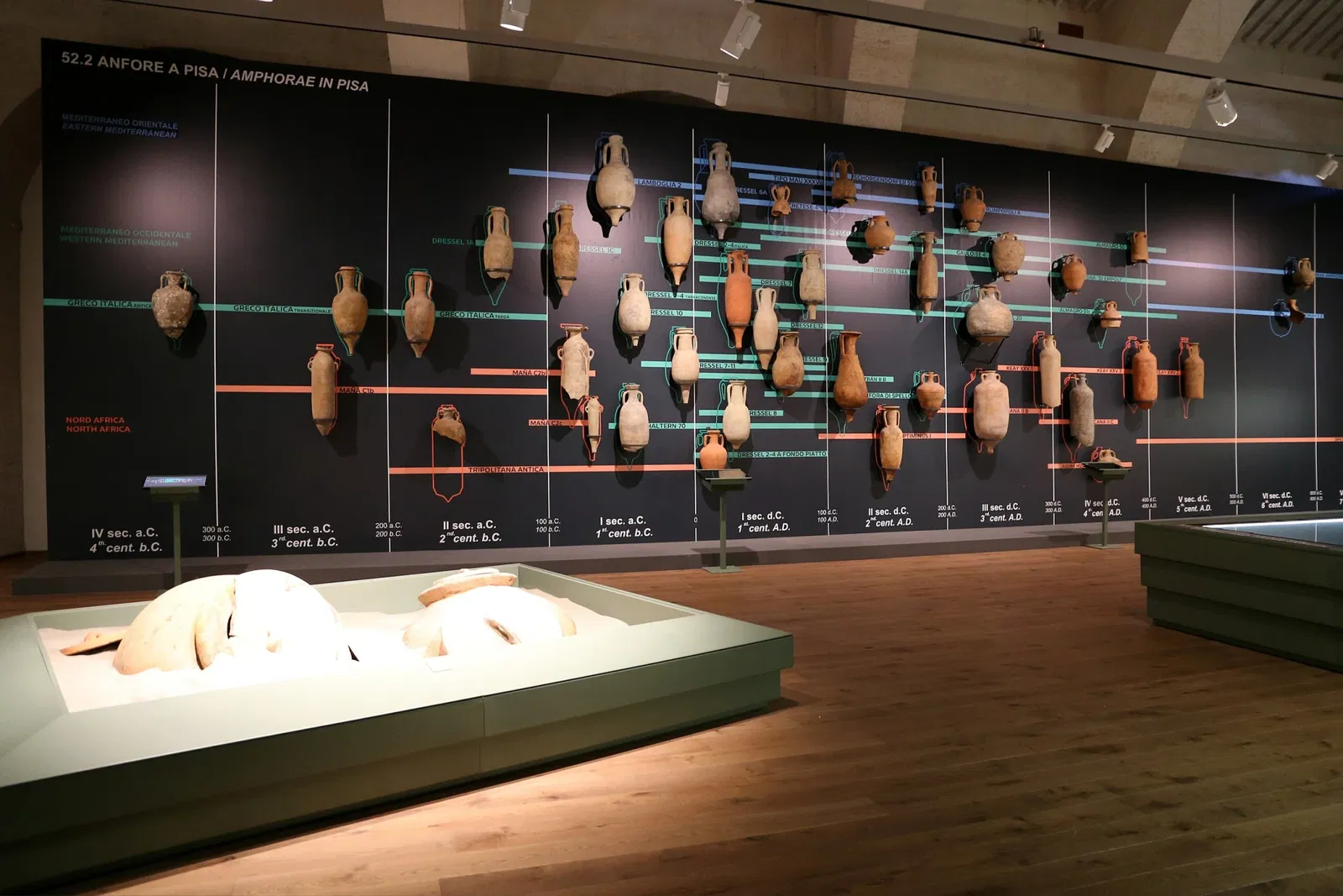 Museo delle Navi Antiche di Pisa