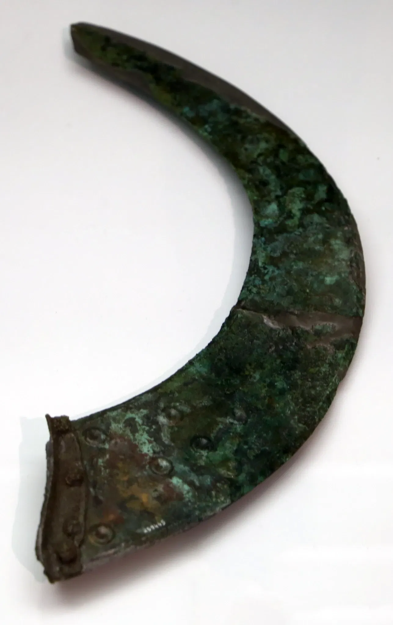 Museo delle Navi Antiche di Pisa