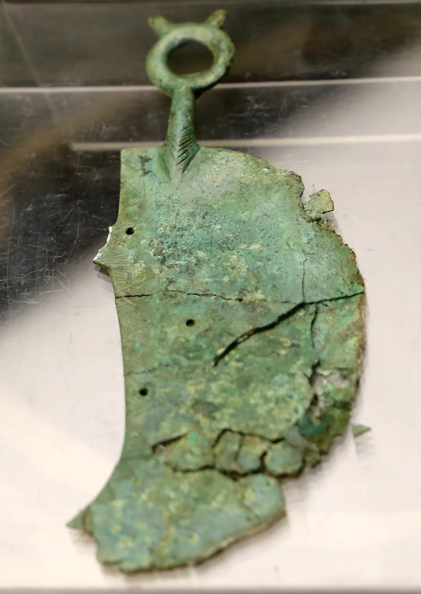 Museo delle Navi Antiche di Pisa