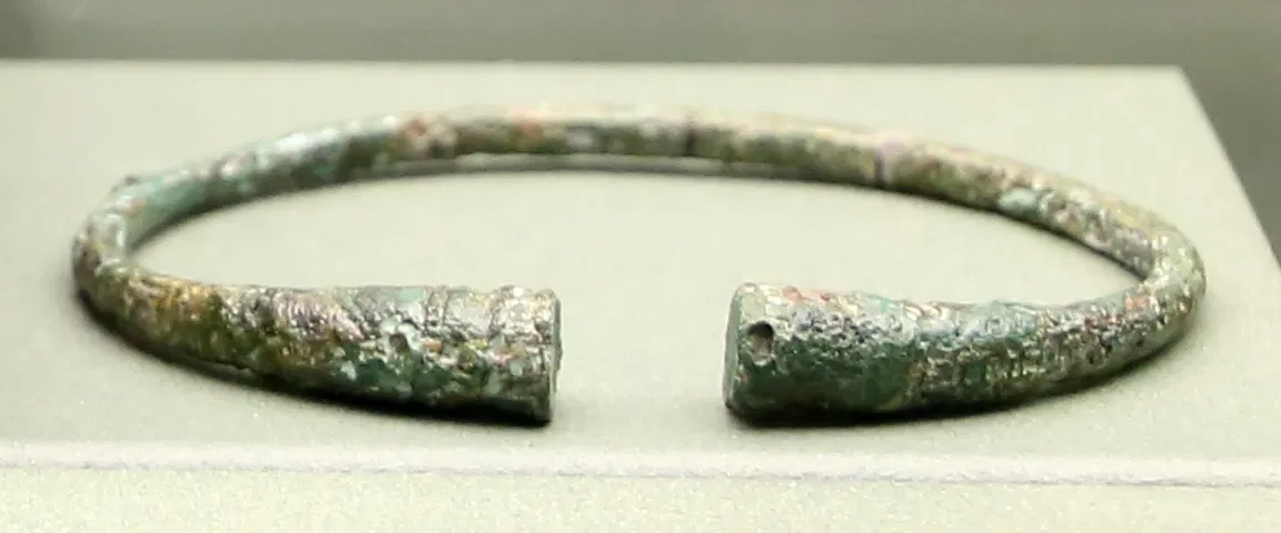 Museo delle Navi Antiche di Pisa