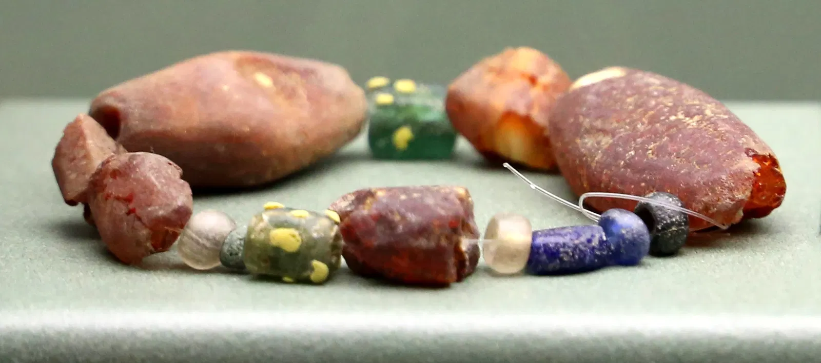 Museo delle Navi Antiche di Pisa