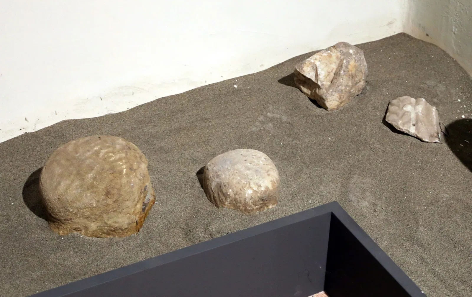 Museo delle Navi Antiche di Pisa