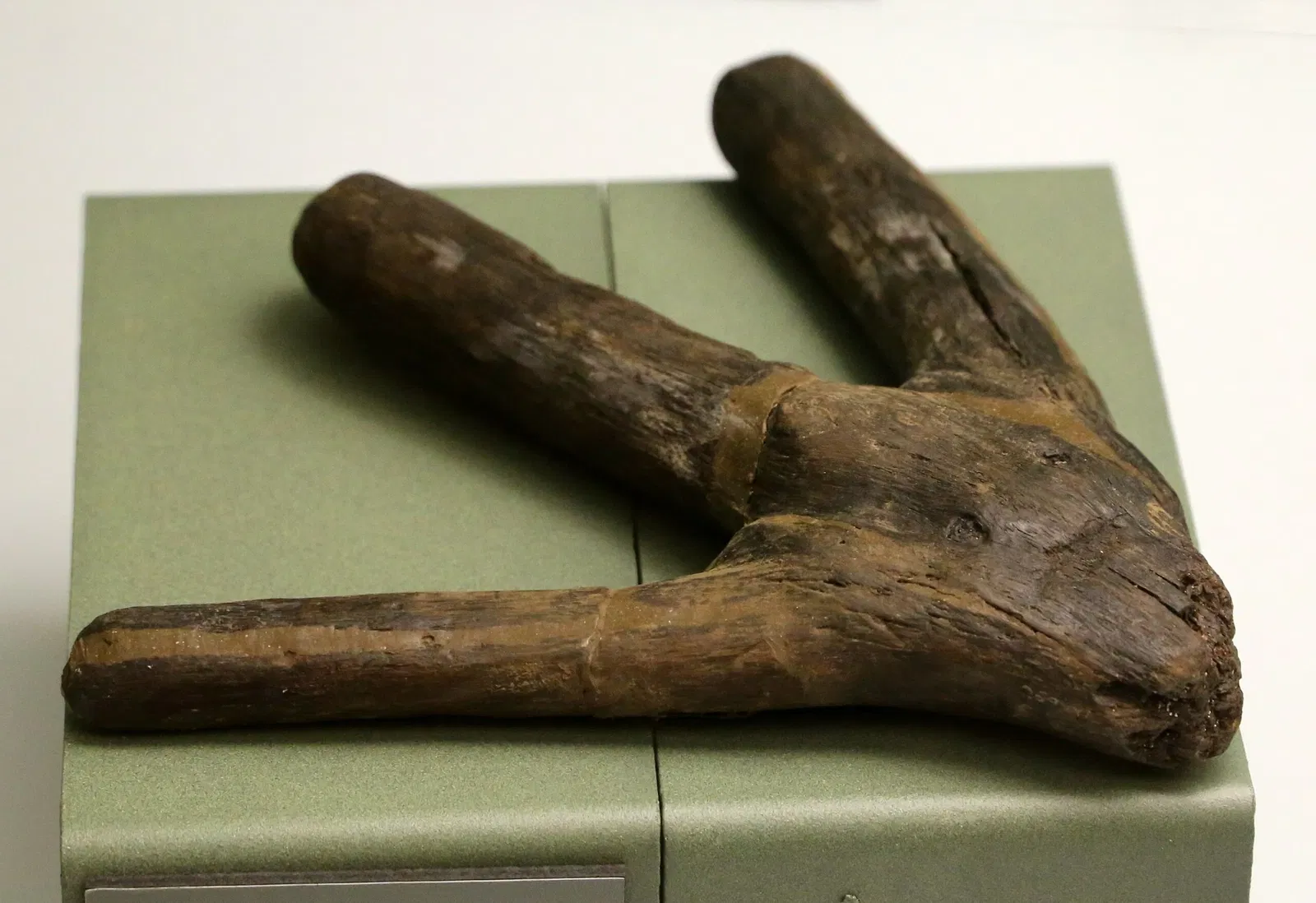 Museo delle Navi Antiche di Pisa