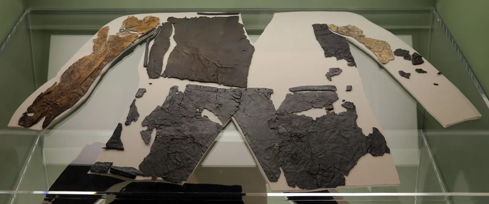 Museo delle Navi Antiche di Pisa