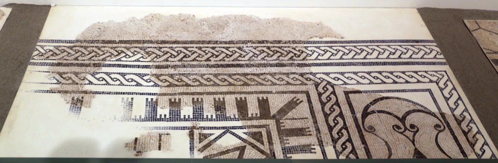 Museo delle Navi Antiche di Pisa