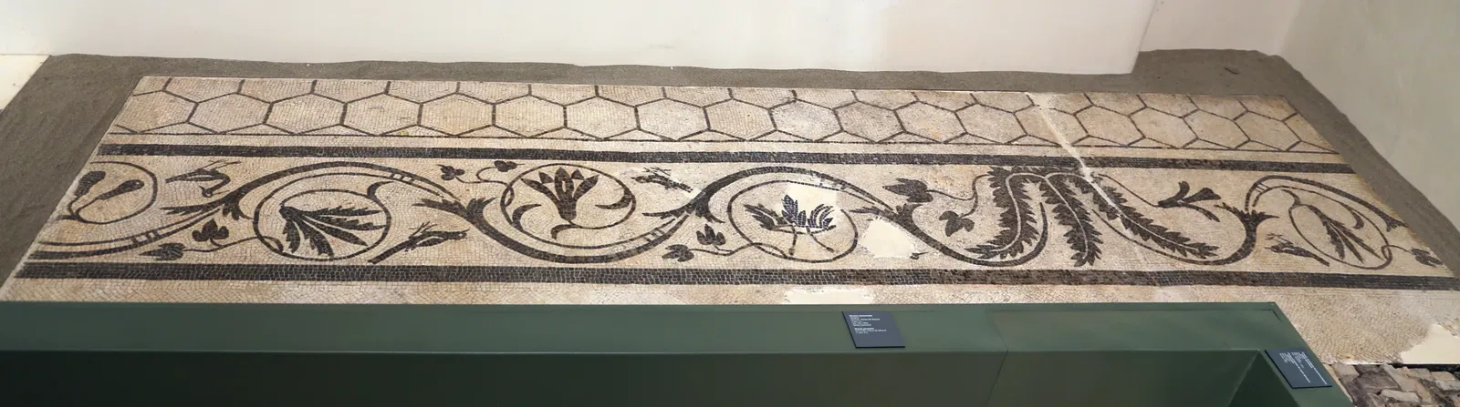 Museo delle Navi Antiche di Pisa