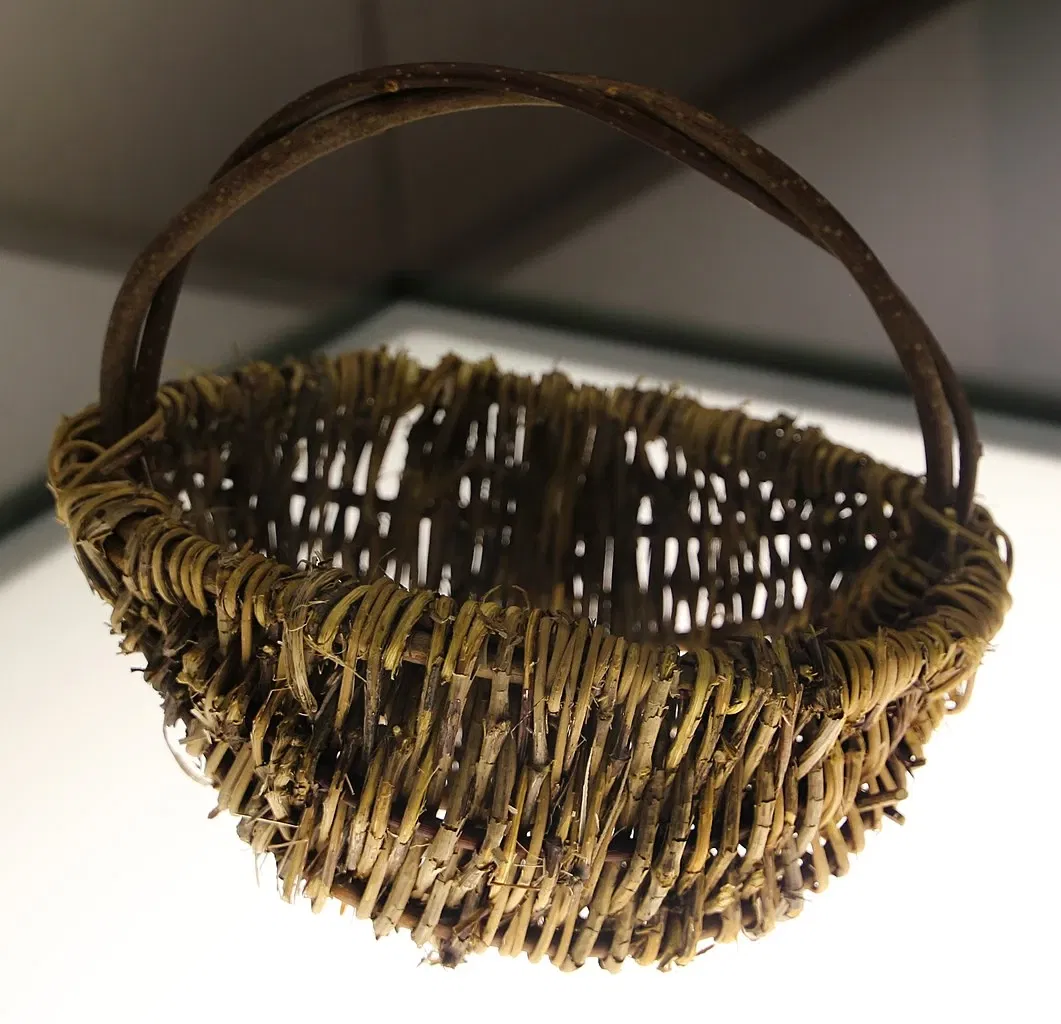 Museo delle Navi Antiche di Pisa