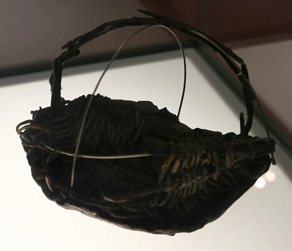 Museo delle Navi Antiche di Pisa