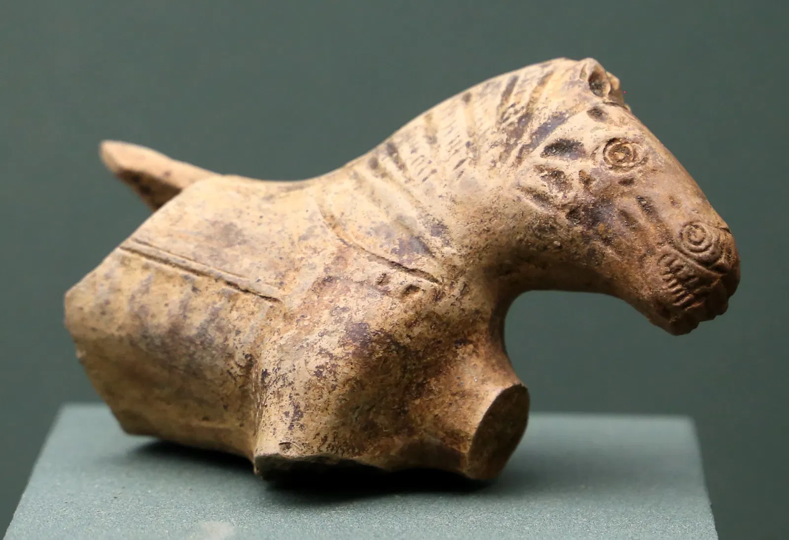 Museo delle Navi Antiche di Pisa