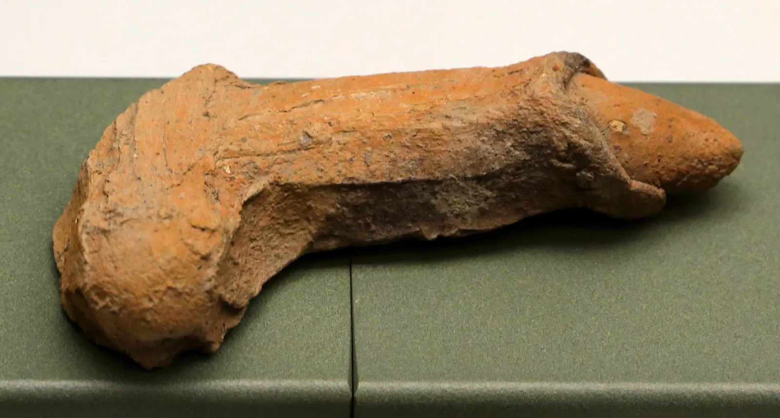 Museo delle Navi Antiche di Pisa