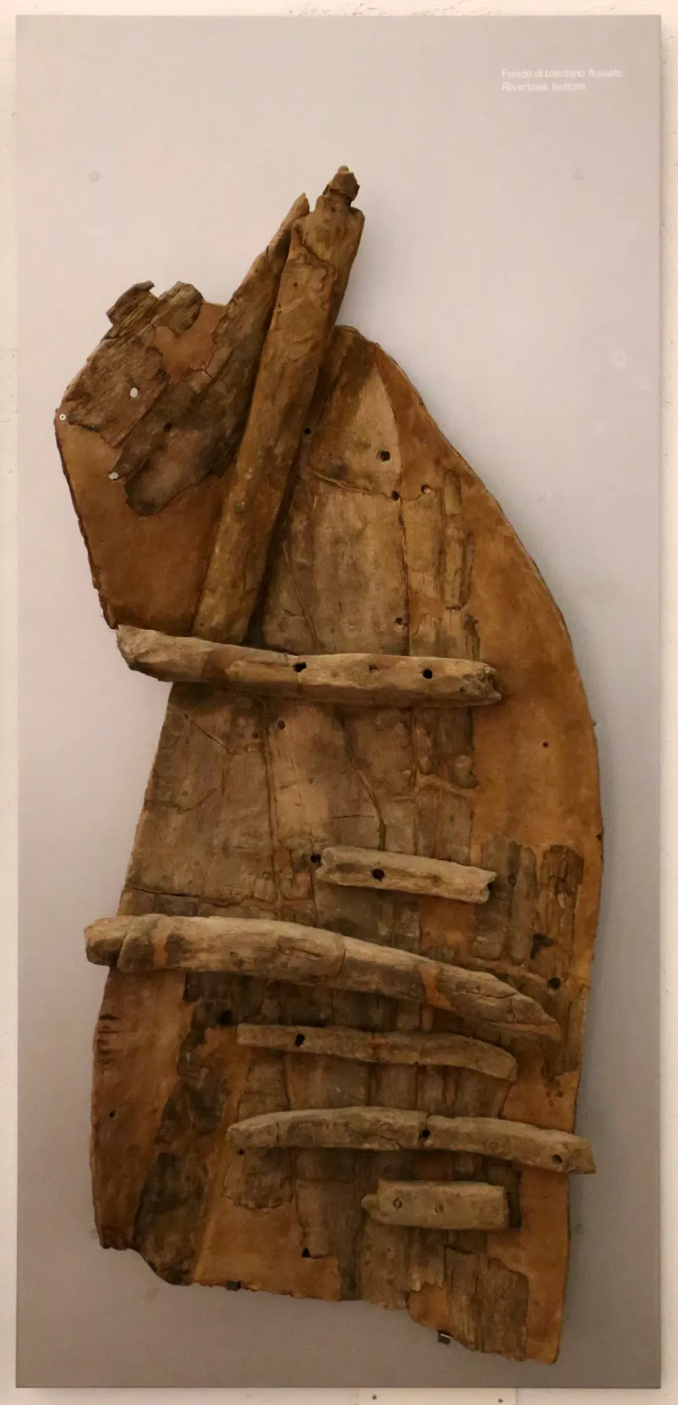 Museo delle Navi Antiche di Pisa