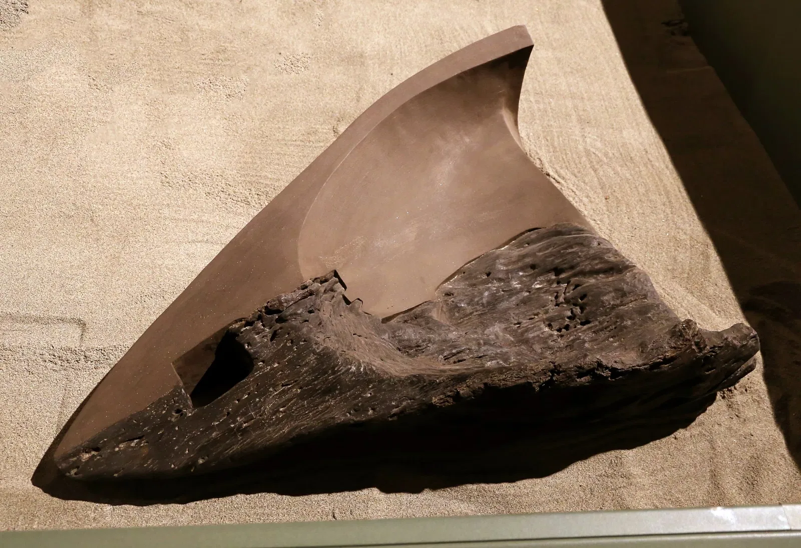 Museo delle Navi Antiche di Pisa