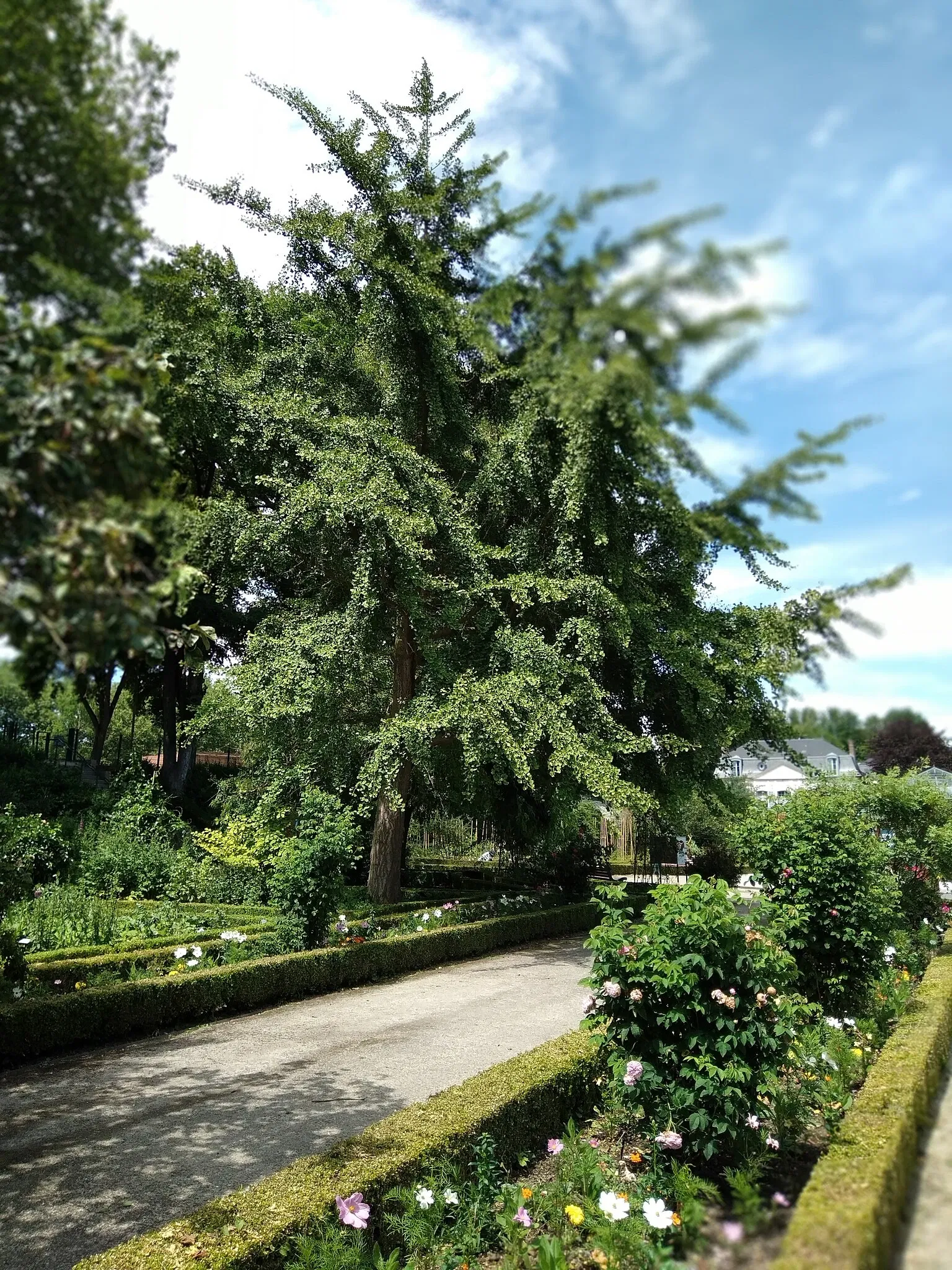Jardin des Plantes