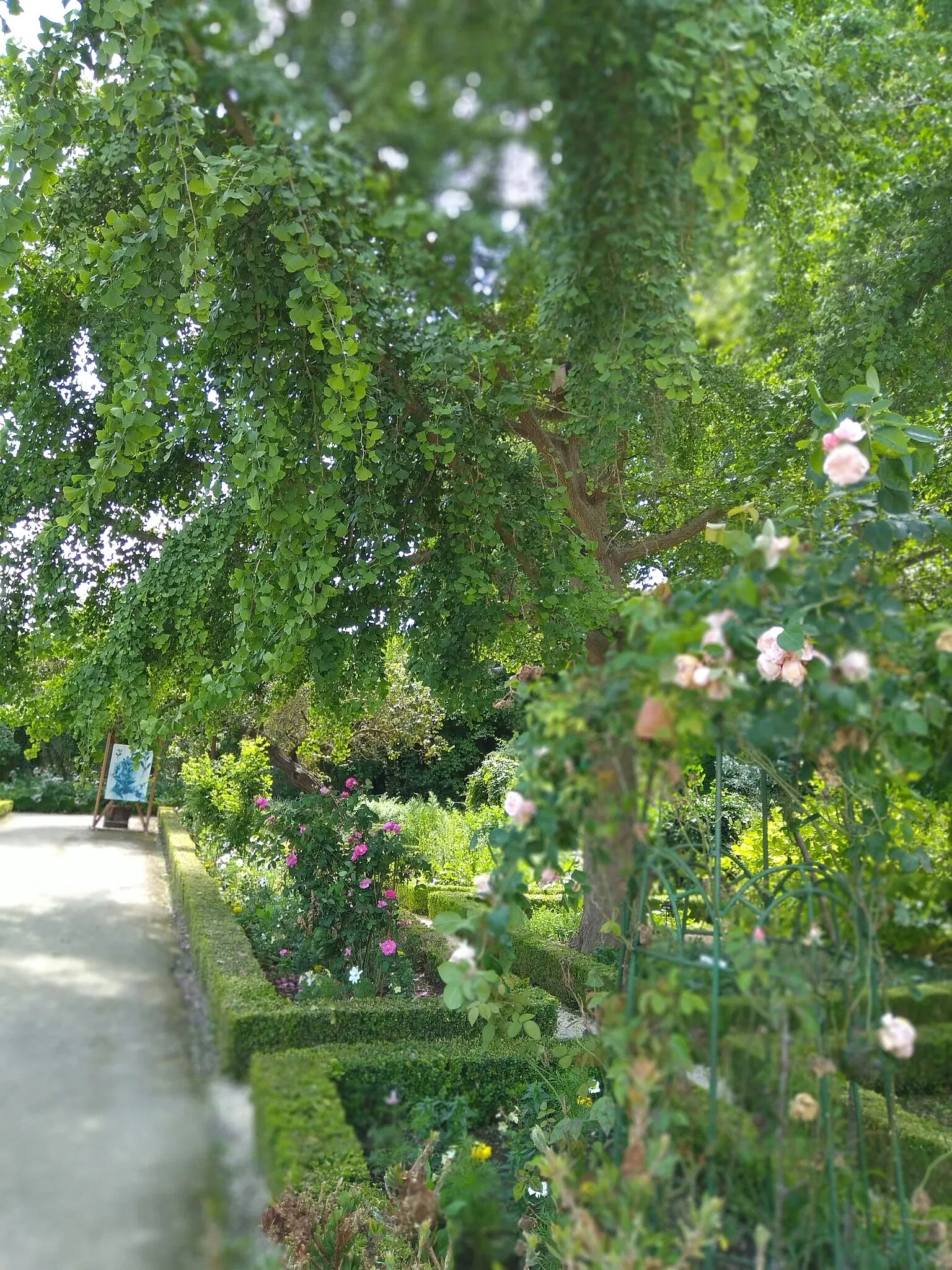 Jardin des Plantes