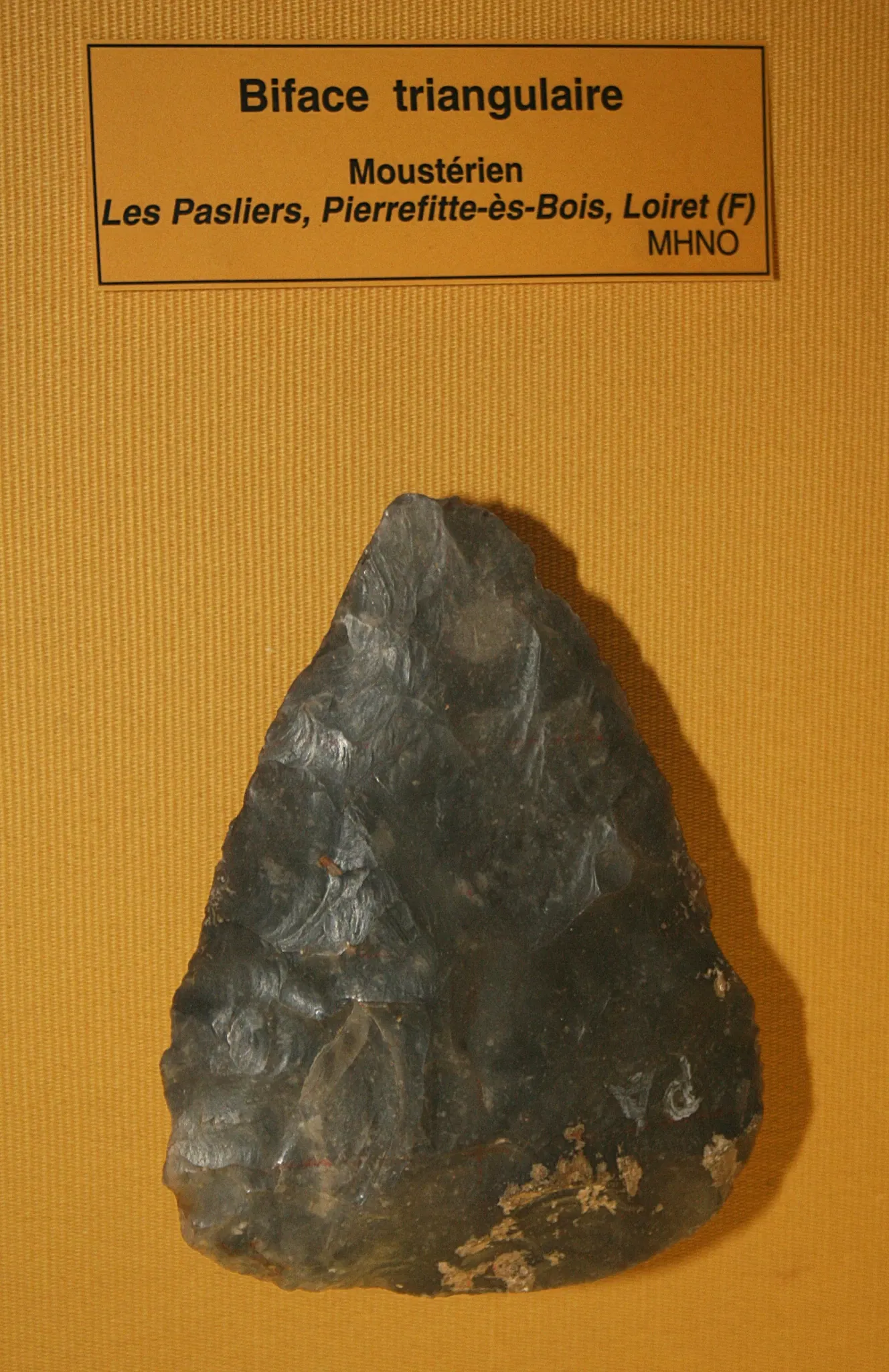 Muséum d'Orléans pour la Biodiversité et l'Environnement