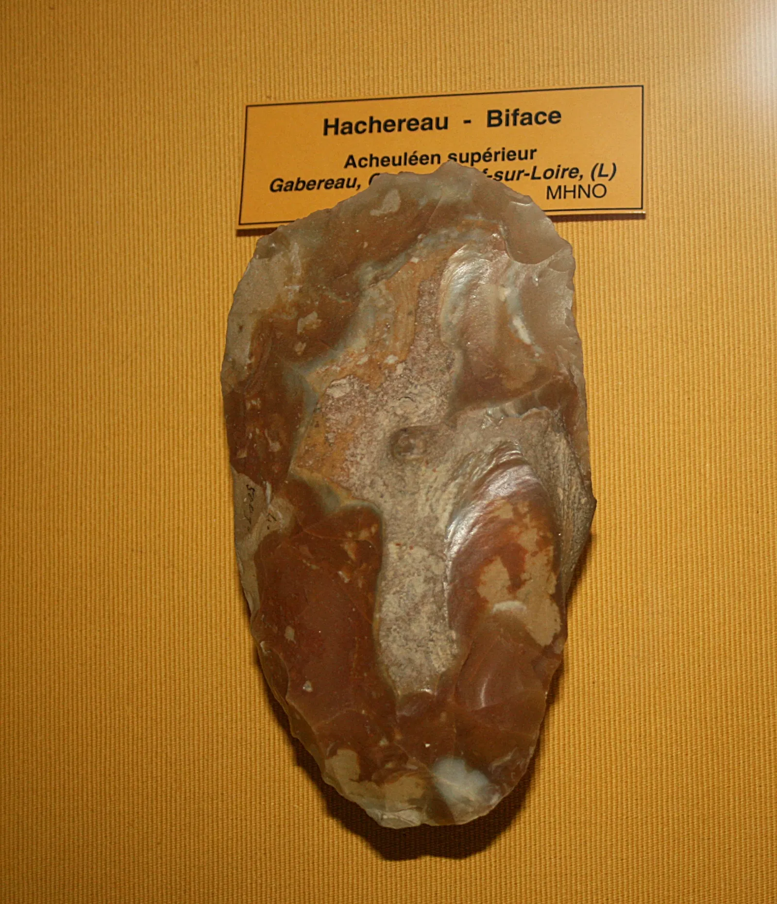 Muséum d'Orléans pour la Biodiversité et l'Environnement