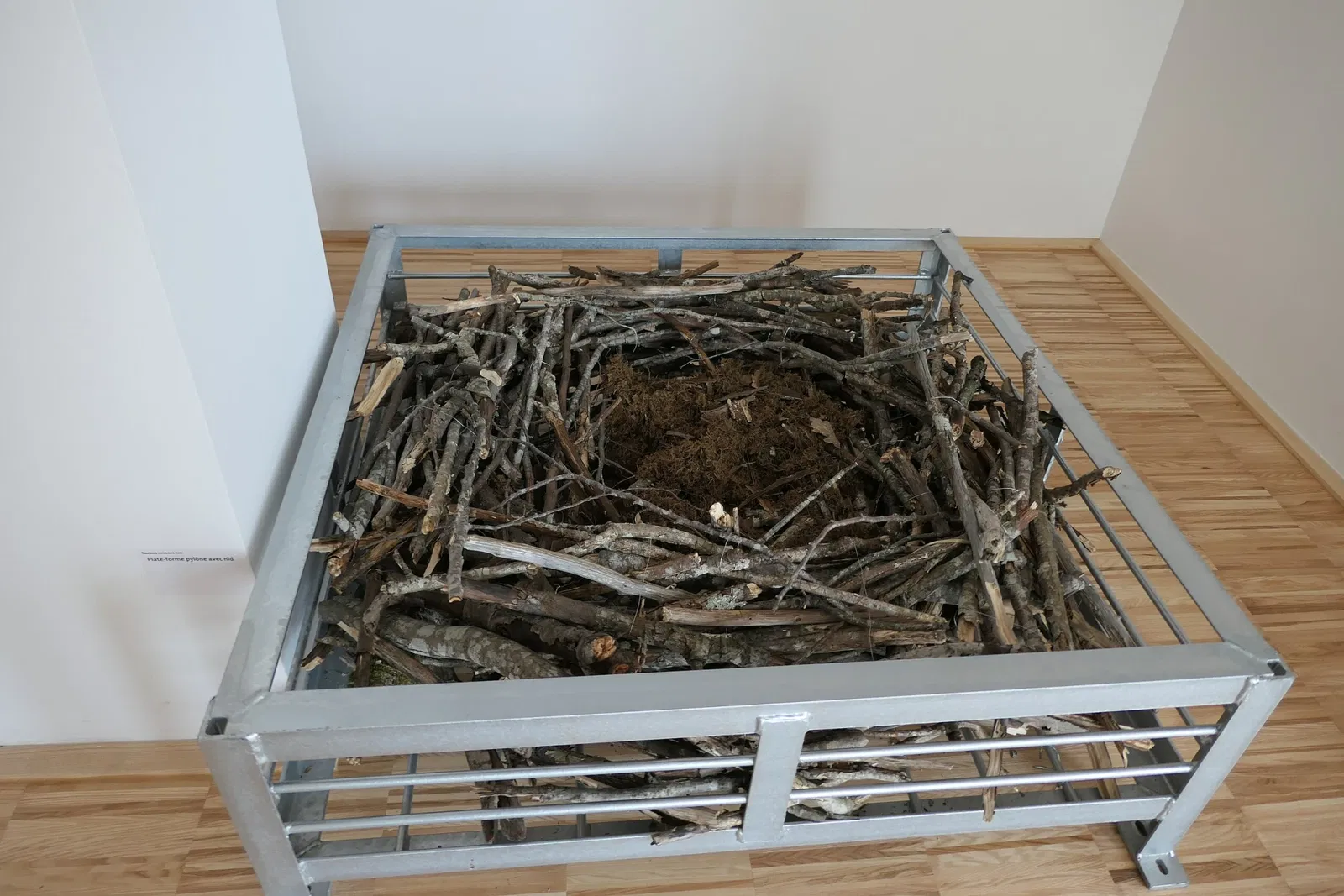 Muséum d'Orléans pour la Biodiversité et l'Environnement