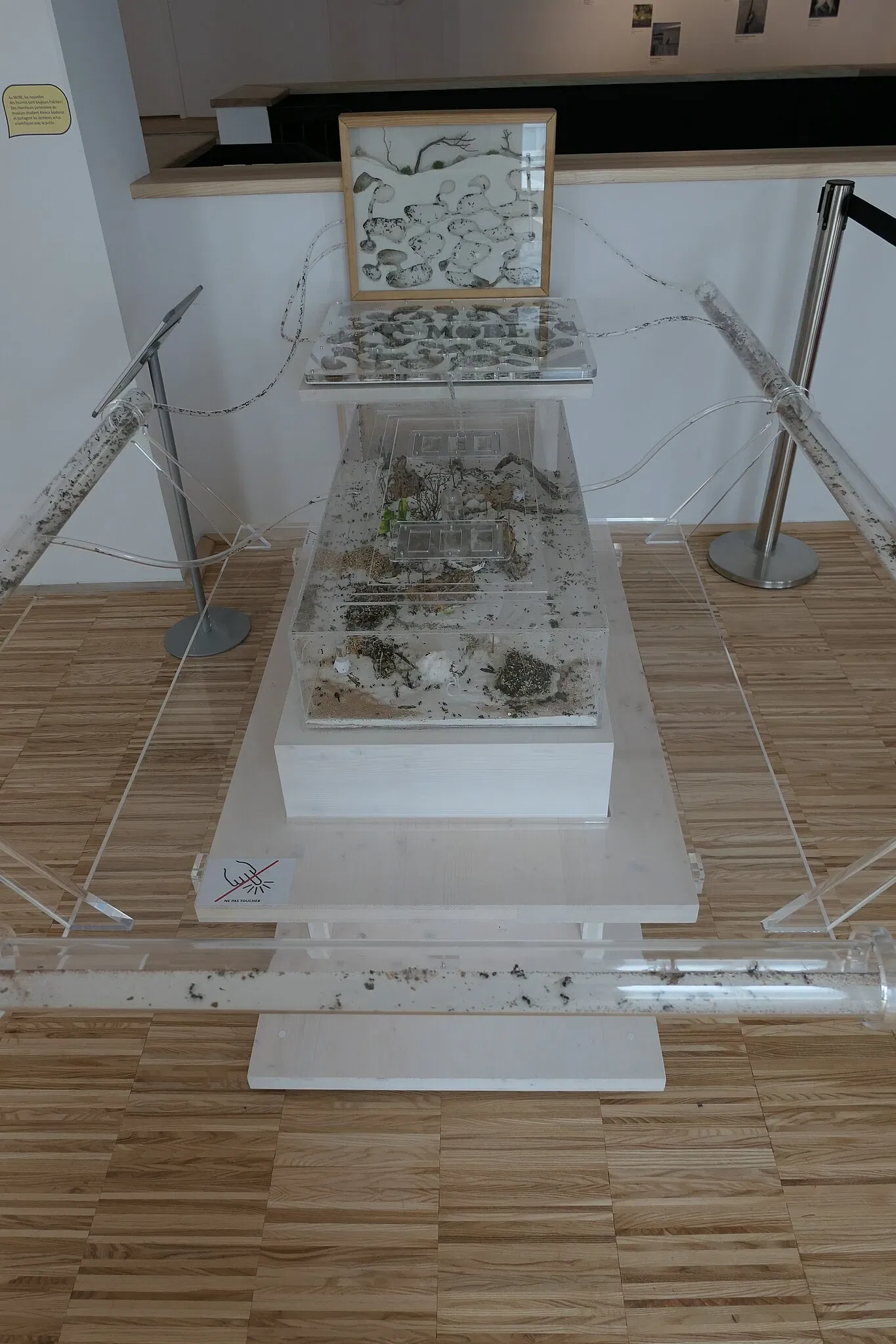 Muséum d'Orléans pour la Biodiversité et l'Environnement