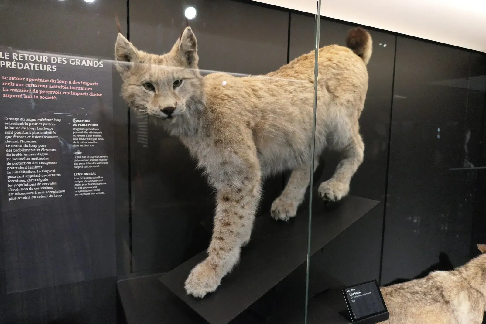 Muséum d'Orléans pour la Biodiversité et l'Environnement