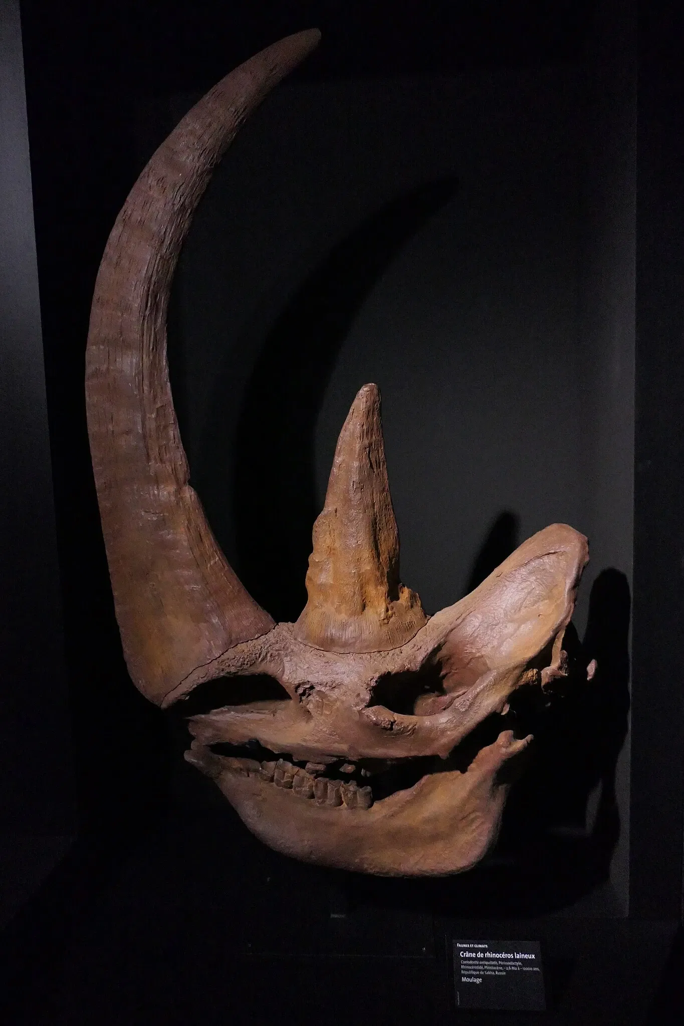 Muséum d'Orléans pour la Biodiversité et l'Environnement