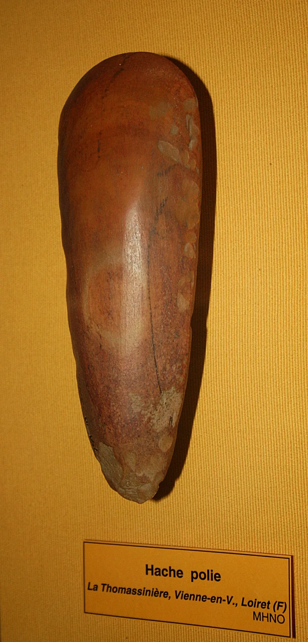 Muséum d'Orléans pour la Biodiversité et l'Environnement