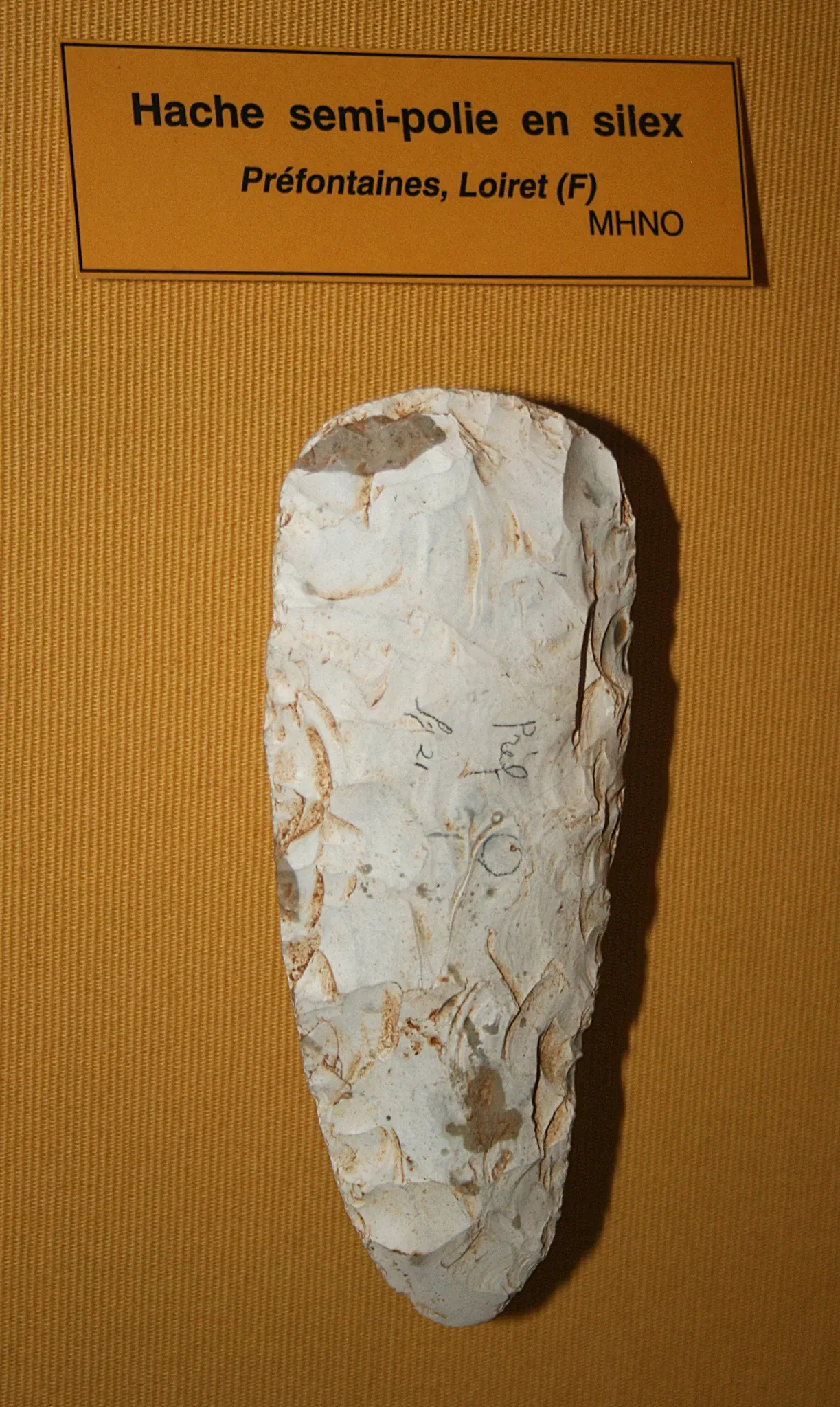 Muséum d'Orléans pour la Biodiversité et l'Environnement