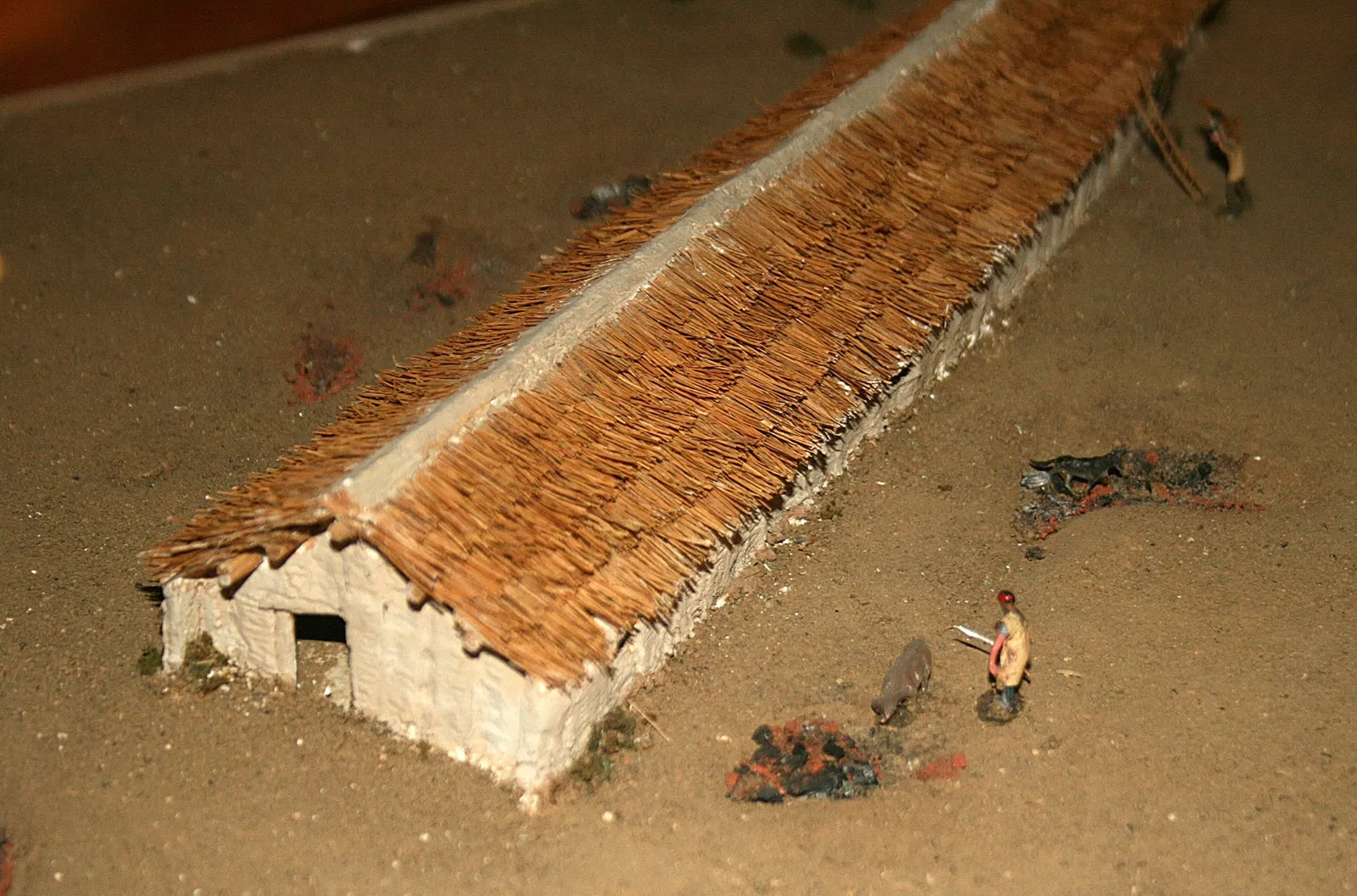 Muséum d'Orléans pour la Biodiversité et l'Environnement