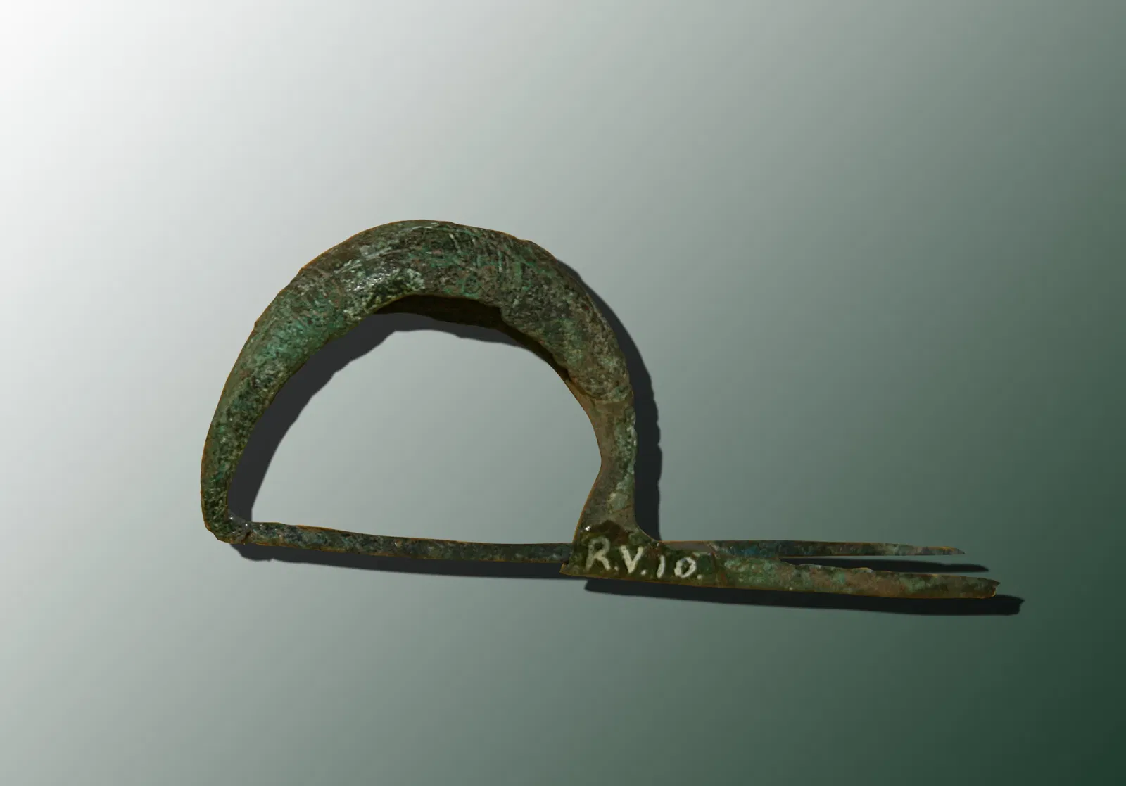 Muséum d'Orléans pour la Biodiversité et l'Environnement