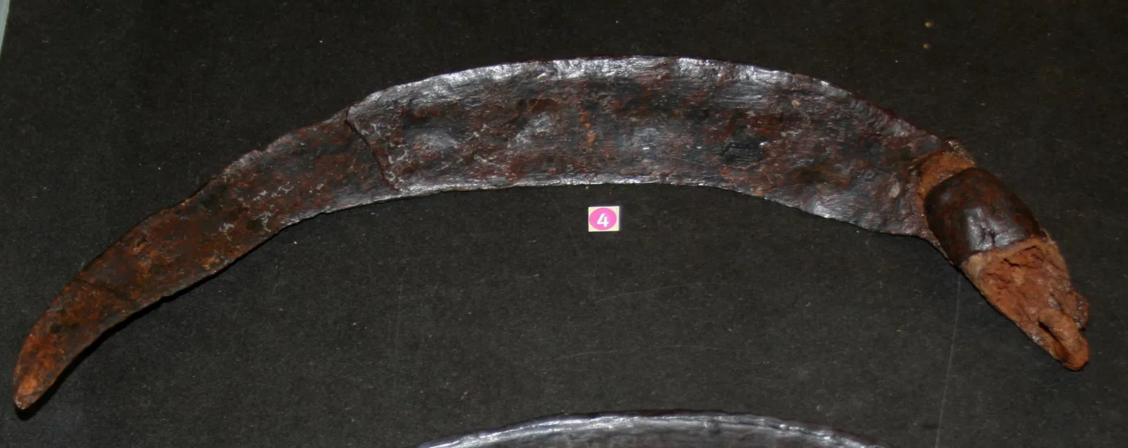 Muséum d'Orléans pour la Biodiversité et l'Environnement