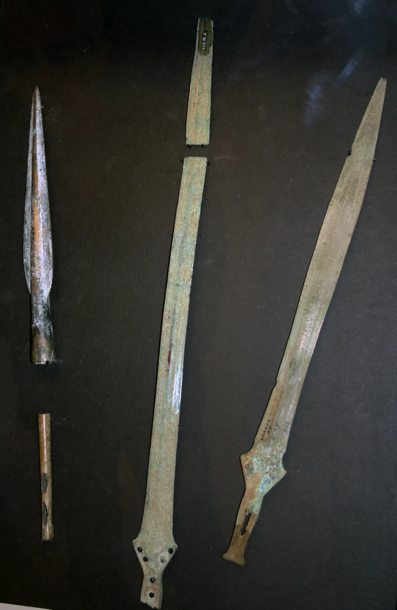 Muséum d'Orléans pour la Biodiversité et l'Environnement