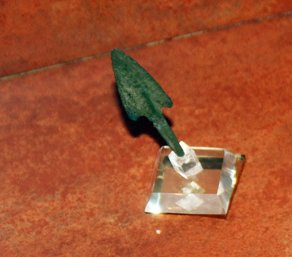 Muséum d'Orléans pour la Biodiversité et l'Environnement