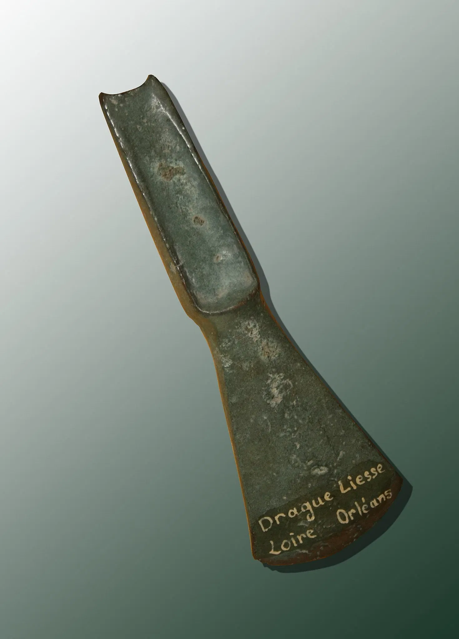 Muséum d'Orléans pour la Biodiversité et l'Environnement