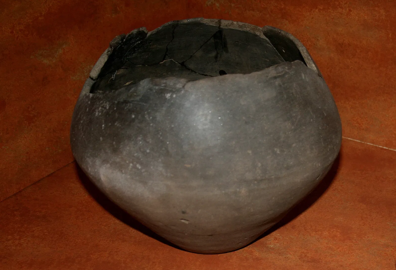 Muséum d'Orléans pour la Biodiversité et l'Environnement