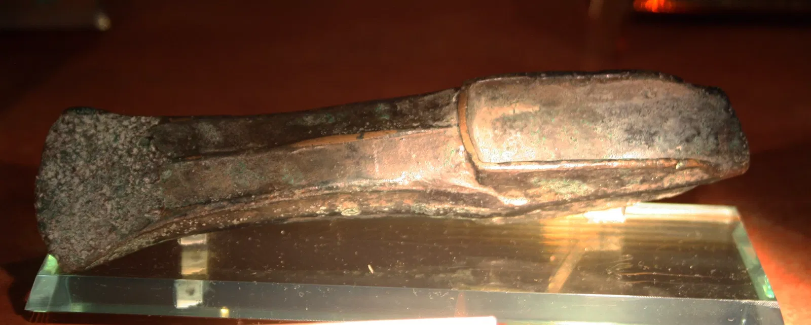 Muséum d'Orléans pour la Biodiversité et l'Environnement