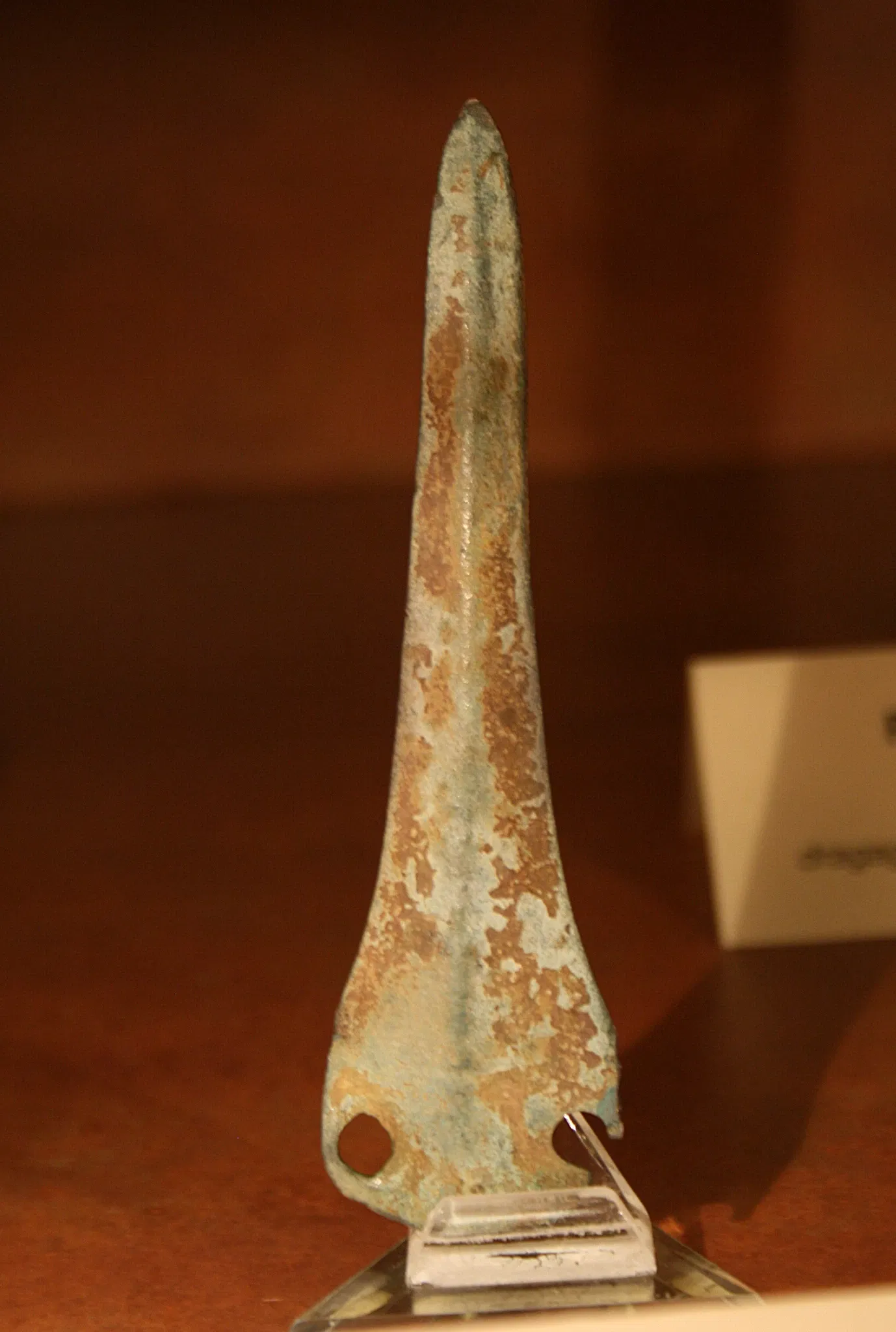 Muséum d'Orléans pour la Biodiversité et l'Environnement