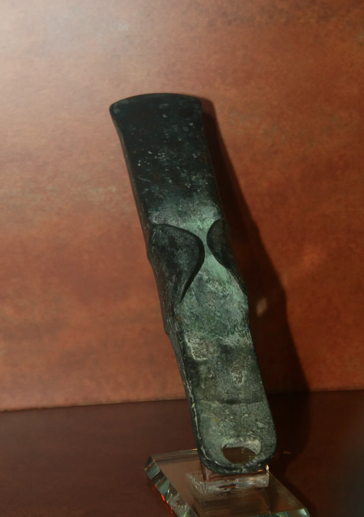 Muséum d'Orléans pour la Biodiversité et l'Environnement