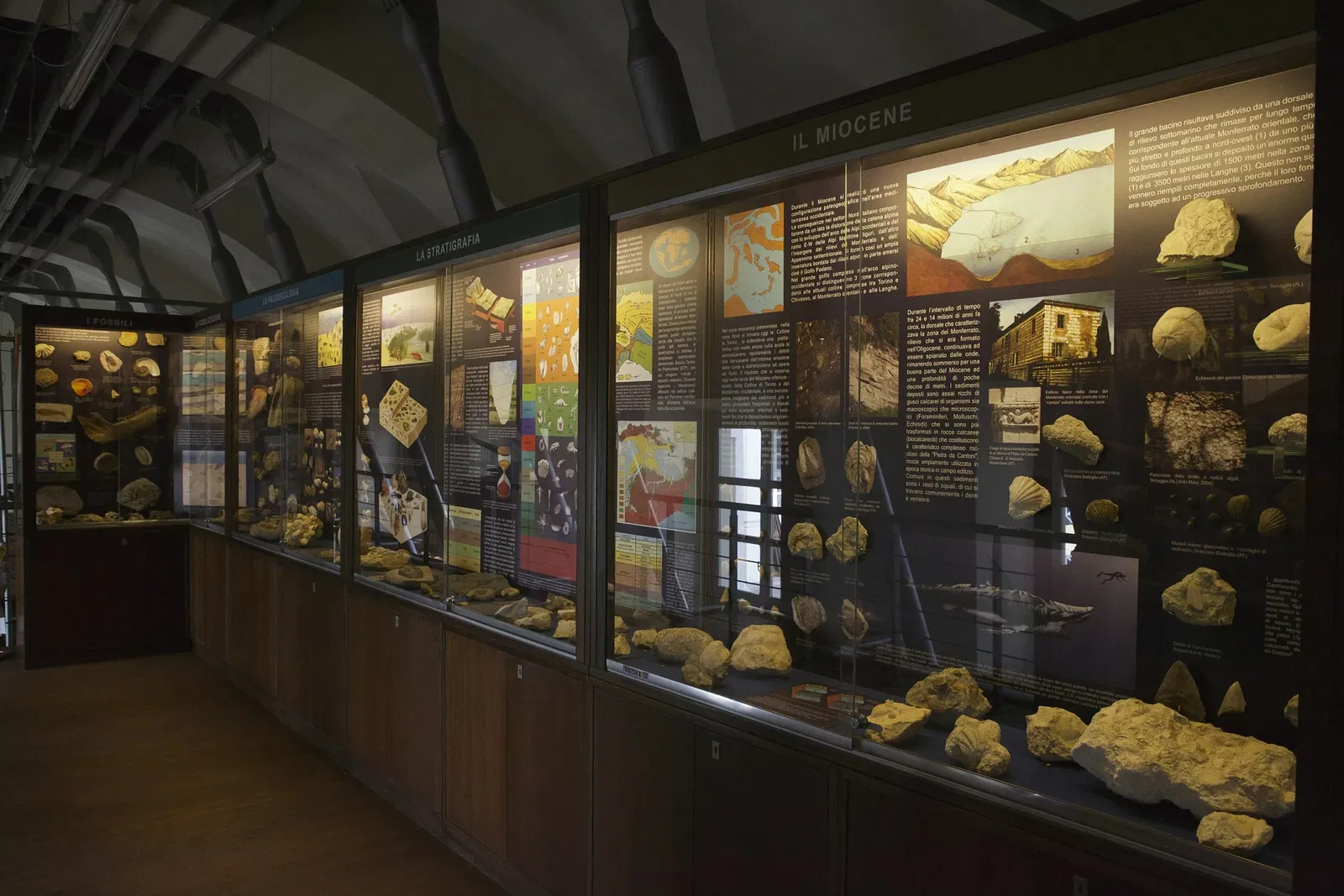 Museo Paleontologico Territoriale dell'Astigiano