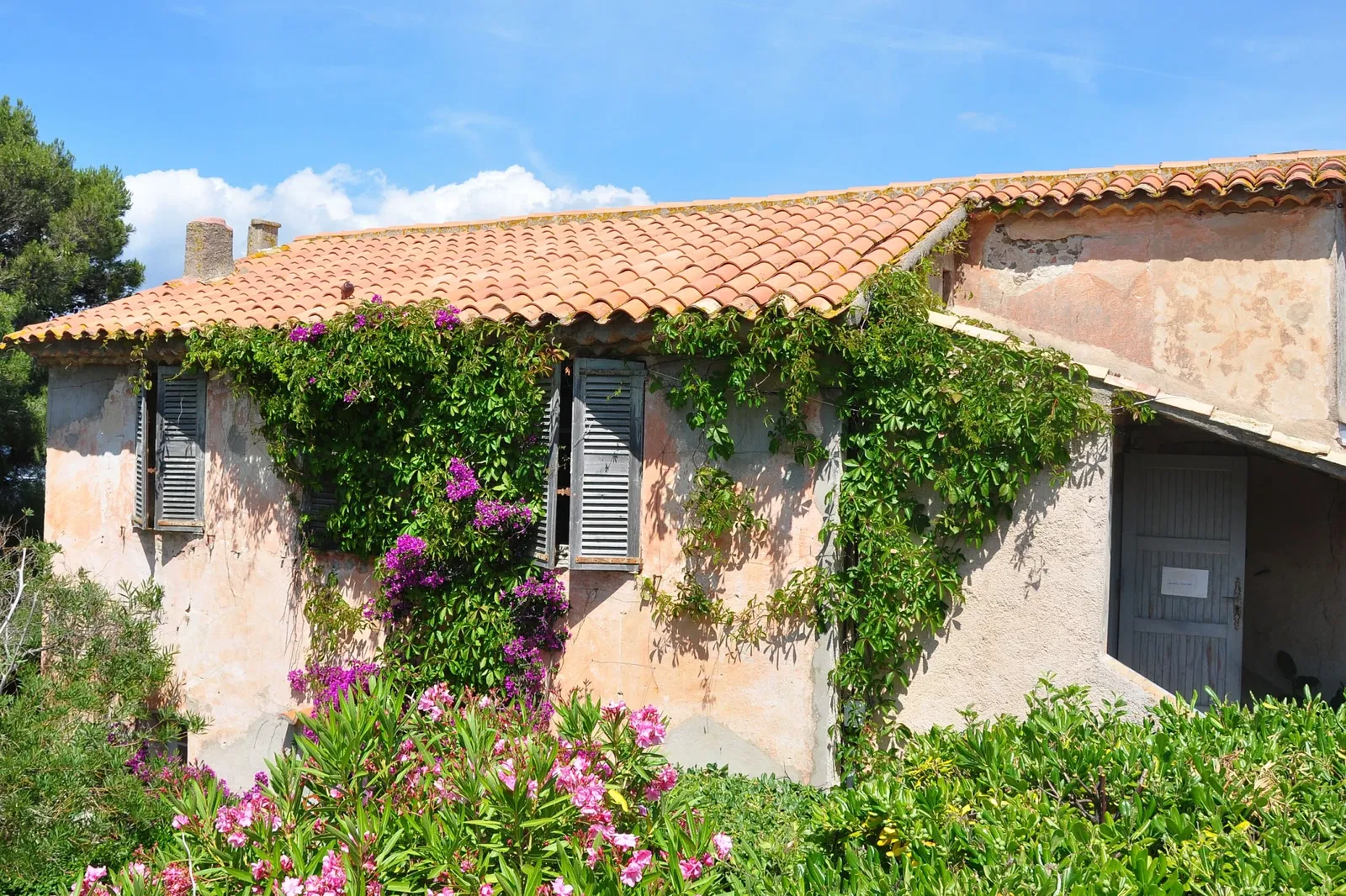 Citadelle de Saint-Tropez - Musée d'Histoire Maritime