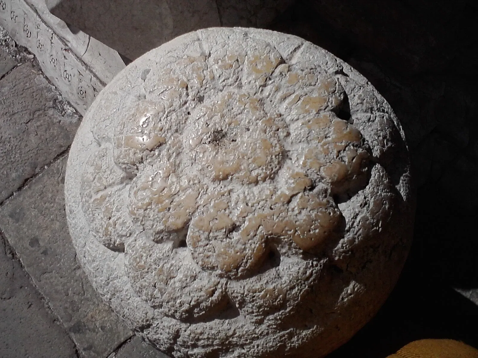 Palazzo dei Diamanti