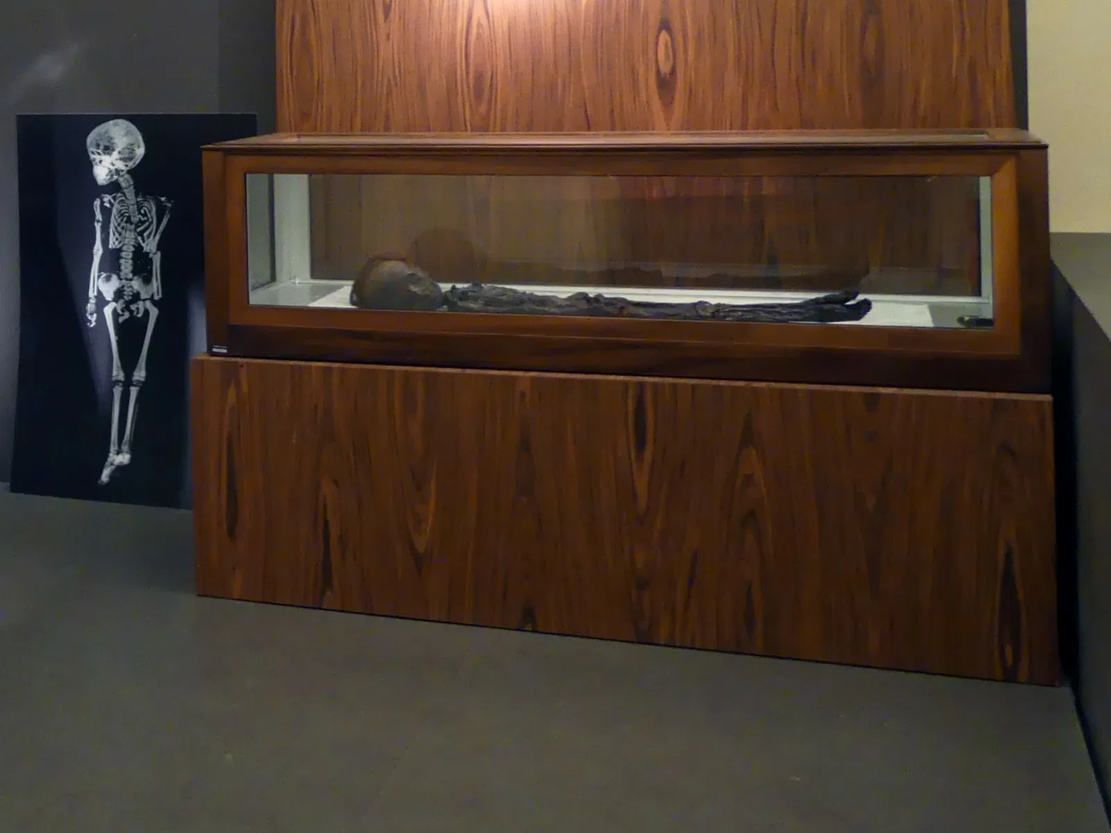 Museo di San Domenico