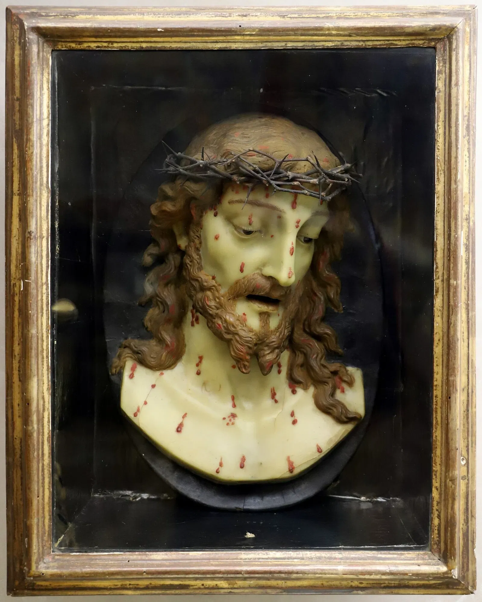 Museo e Pinacoteca Diocesani di Imola delle Carrozze Giardino storico