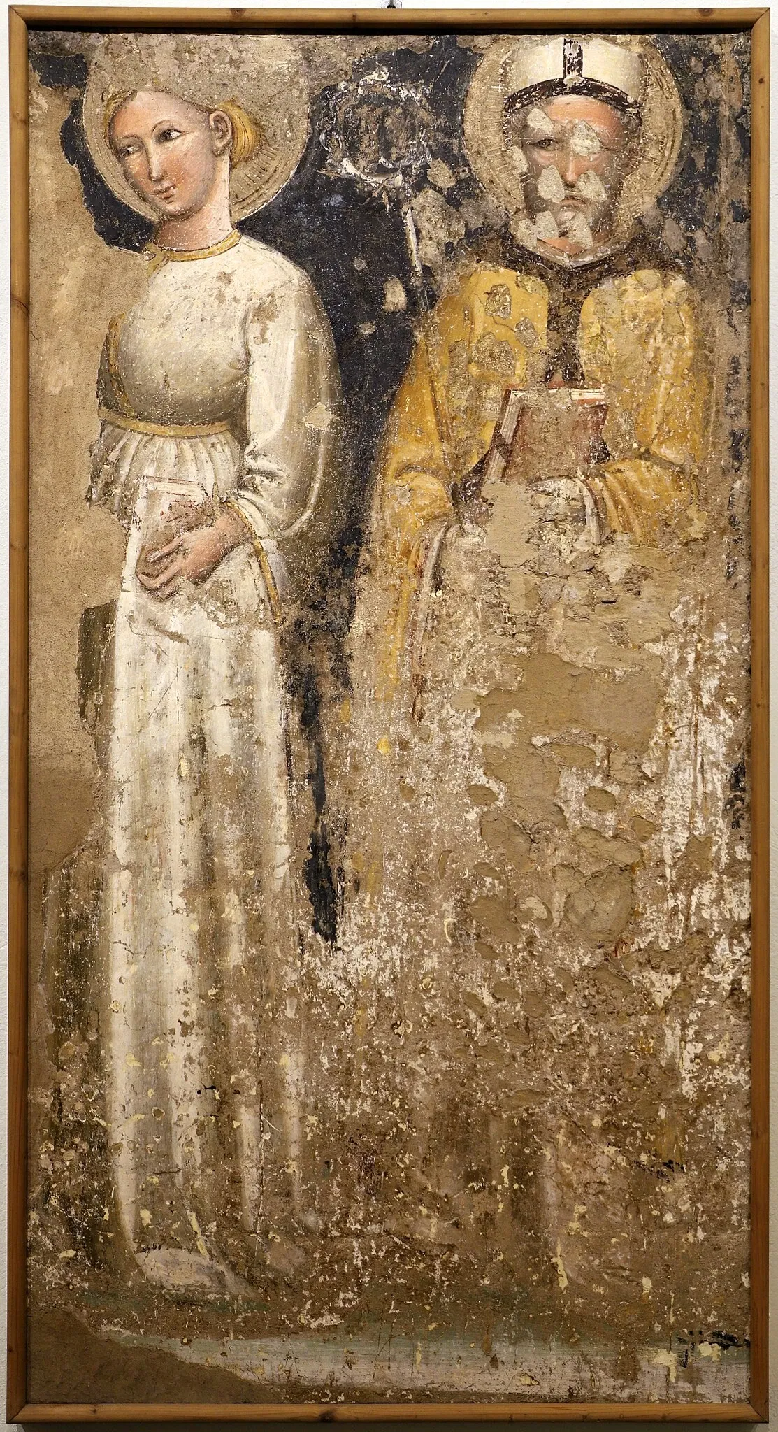 Museo e Pinacoteca Diocesani di Imola delle Carrozze Giardino storico