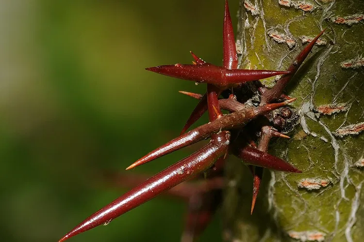 Orto Botanico dell'Università di Modena e Reggio Emilia