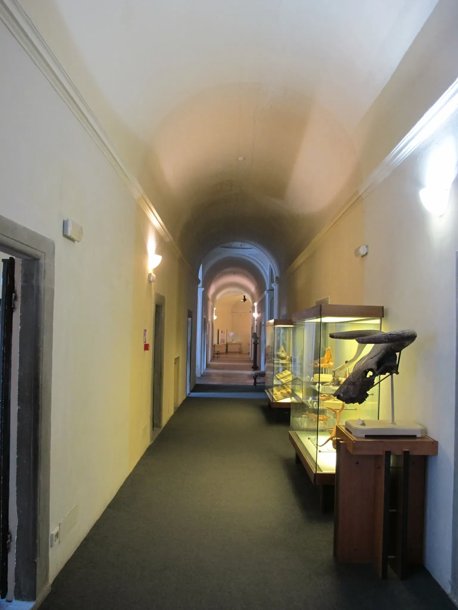 Museo Archeologico Nazionale Gaio Cilnio Mecenate