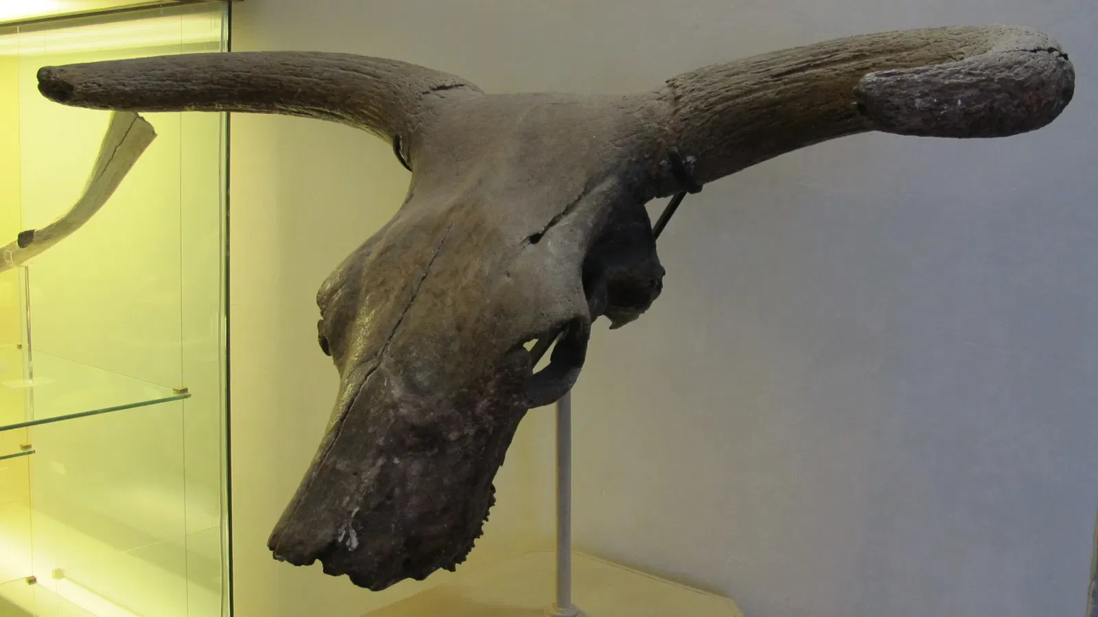 Museo Archeologico Nazionale Gaio Cilnio Mecenate