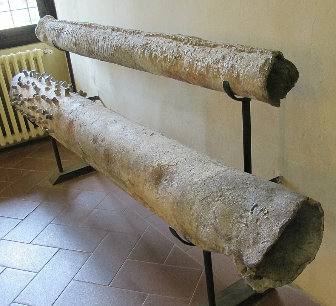 Museo Archeologico Nazionale Gaio Cilnio Mecenate
