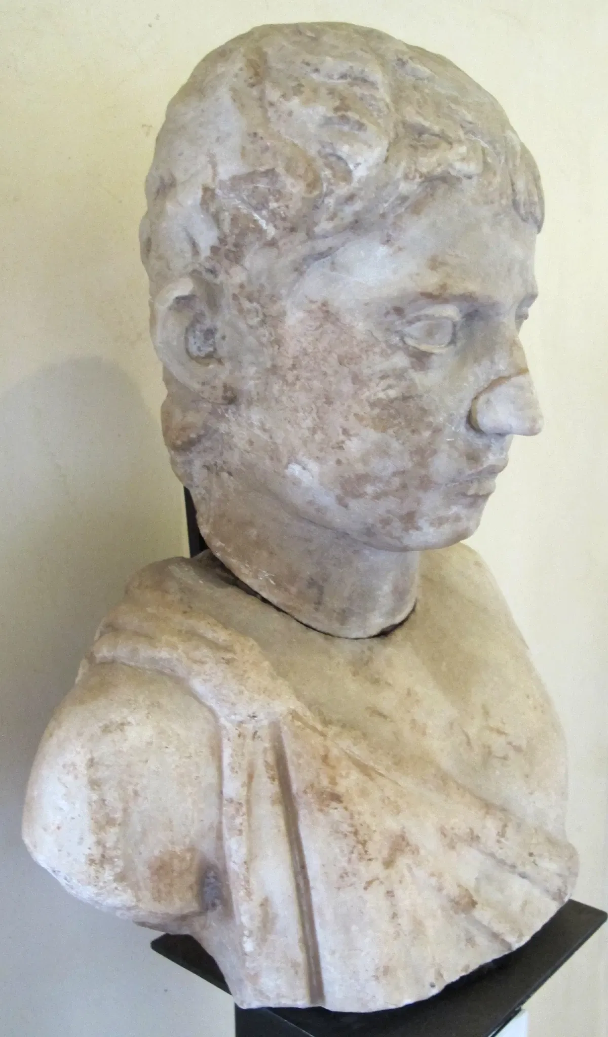 Museo Archeologico Nazionale Gaio Cilnio Mecenate
